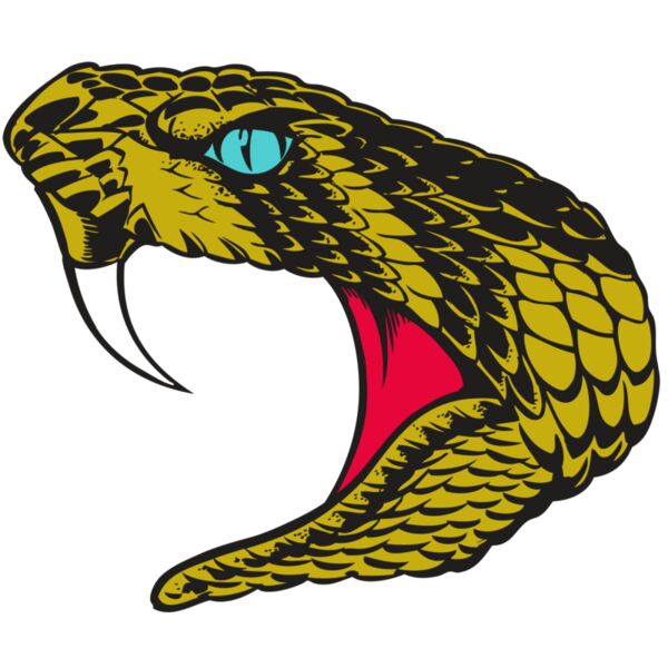 BAW SNAKE 16 RC Thumbnail